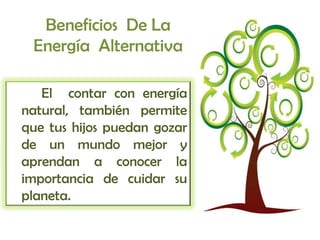 Beneficios De La
 Energía Alternativa

   El contar con energía
natural, también permite
que tus hijos puedan gozar
de un mundo mejor y
aprendan a conocer la
importancia de cuidar su
planeta.
 