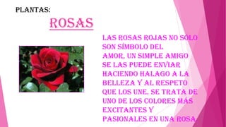 PLANTAS:

Rosas
Las rosas rojas no sólo
son símbolo del
amor, un simple amigo
se las puede enviar
haciendo halago a la
belleza y al respeto
que los une. Se trata de
uno de los colores más
excitantes y
pasionales en una rosa.

 