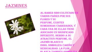 Jazmines
Al haber sido cultivado en
varios países por sus
flores y su
perfume, existen
numerosas variedades, y
cada una de ellas tiene
asociado un significado
diferente. Debido a su
atractivo perfume, el
jazmín blanco o
indio, simboliza cariño y
sensualidad. La flor

 