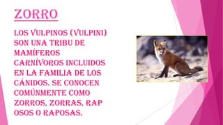 Zorro
Los vulpinos (Vulpini)
son una tribu de
mamíferos
carnívoros incluidos
en la familia de los
cánidos. Se conocen
comúnmente como
zorros, zorras, rap
osos o raposas.

 