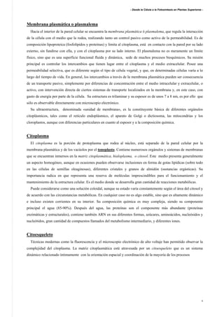 - Desde la Célula a la Fotosíntesis en Plantas Superiores -
4
Membrana plasmática o plasmalema
Hacia el interior de la pared celular se encuentra la membrana plasmática ó plasmalema, que regula la interacción
de la célula con el medio que la rodea, realizando tanto un control pasivo como activo de la permeabilidad. Es de
composición lipoproteica (fosfolípidos y proteínas) y limita al citoplasma, está en contacto con la pared por su lado
externo, sin fundirse con ella, y con el citoplasma por su lado interno. El plasmalema no es meramente un límite
físico, sino que es una superficie funcional fluida y dinámica, sede de muchos procesos bioquímicos. Su misión
principal es controlar los intercambios que tienen lugar entre el citoplasma y el medio extracelular. Posee una
permeabilidad selectiva, que es diferente según el tipo de célula vegetal, y que, en determinadas células varía a lo
largo del tiempo de vida. En general, los intercambios a través de la membrana plasmática pueden ser consecuencia
de un transporte pasivo, simplemente por diferencias de concentración entre el medio intracelular y extracelular, o
activo, con intervención directa de ciertos sistemas de transporte localizados en la membrana y, en este caso, con
gasto de energía por parte de la célula. Su estructura es trilaminar y su espesor es de unos 7 a 8 nm, es por ello que
sólo es observable directamente con microscopio electrónico.
Su ultraestructura, denominada «unidad de membrana», es la constituyente básica de diferentes orgánulos
citoplásmicos, tales como el retículo endoplásmico, el aparato de Golgi o dictiosoma, las mitocondrias y los
cloroplastos, aunque con diferencias particulares en cuanto al espesor y a la composición química.
Citoplasma
El citoplasma es la porción de protoplasma que rodea al núcleo, está separado de la pared celular por la
membrana plasmática y de los vacúolos por el tonoplasto. Contiene numerosos orgánulos y sistemas de membranas
que se encuentran inmersos en la matriz citoplasmática, hialoplasma, o citosol. Este medio presenta generalmente
un aspecto homogéneo, aunque en ocasiones pueden observarse inclusiones en forma de gotas lipídícas (sobre todo
en las células de semillas oleaginosas), diferentes cristales y granos de almidón (sustancias ergásticas). Su
importancia radica en que representa una reserva de moléculas imprescindibles para el funcionamiento y el
mantenimiento de la estructura celular. Es el medio donde se desarrolla gran cantidad de reacciones metabólicas.
Puede considerarse como una solución coloidal, aunque su estado varía constantemente según el área del citosol y
de acuerdo con las circunstancias metabólicas. En cualquier caso no es algo estable, sino que es altamente dinámico
e incluso existen corrientes en su interior. Su composición química es muy compleja, siendo su componente
principal el agua (85-90%). Después del agua, las proteínas son el componente más abundante (proteínas
enzimáticas y estructurales), contiene también ARN en sus diferentes formas, azúcares, aminoácidos, nucleósidos y
nucleótidos, gran cantidad de compuestos llamados del metabolismo intermediario, y diferentes iones.
Citoesqueleto
Técnicas modernas como la fluorescencia y el microscopio electrónico de alto voltaje han permitido observar la
complejidad del citoplasma. La matriz citoplasmática está atravesada por un citoesqueleto que es un sistema
dinámico relacionado íntimamente con la orientación espacial y coordinación de la mayoría de los procesos
 
