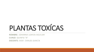 PLANTAS TOXÍCAS
NOMBRE: JOHANNA LOAYZA AGUILAR
CURSO: QUINTO “A”
DOCENTE: BIOF. CARLOS GARCÍA
 