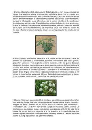 •Chamico (Datura ferox) (D. stramonium). Toda la planta es muy tóxica, incluidas las
raíces. Los principios activos se encuentran en toda la planta. Los principales son
alcaloides como la hiosciamina, escopolamina (hioscina) y atropina. Estos alcaloides
actúan directamente sobre el sistema nervioso central produciendo un efecto sedante,
aunque la intoxicación causa alteraciones de la visión, pérdida de la sensibilidad,
somnolencia y alucinaciones. El alcaloide actúa inhibiendo la acción de la acetilcolina,
que es el transmisor neuromuscular. Igualmente produce midriasis ( dilatación anormal
de la pupila con inmovilidad del iris). La atropina se utiliza para dilatar las pupilas de
los ojos y facilitar el estudio del globo ocular, así como para paliar los efectos de los
mareos.
•Cicuta (Conium maculatum). Pertenece a la familia de las umbelíferas, crece en
terrenos no cultivados y escombrosos, pudiendo diferenciarse tres tipos: grande,
pequeña y venenosa. Toda la planta contiene alcaloides, entre los que se destacan
glucósidos flavónicos y cumarínicos y un aceite esencial, además de la coniceina y la
coniína, esta es una neurotoxina que inhibe el funcionamiento del sistema nervioso
central produciendo el llamado "cicutismo". La cicutina es el alcaloide más activo con
acción tóxica dirigida sobre bulbo y placas neuromotrices; el efecto es parecido al del
curare; la dosis letal se aproxima a 500 mg. Otros alcaloides contenidos en la planta,
como cicutoxina, metilconicina y conhidrina, son menos peligrosos.
•Cólquico (Colchicum autumnale). De la familia de las colchicáceas, desarrolla una flor
muy atractiva, lo que determina otros nombres con que se conoce: «dama desnuda»,
«virgen sin velo»; también por su acción tóxica es conocida por «mataperros»,
«matalobos», etc. Los bulbos son tóxicos y producen nauseas, vómito, diarrea. La
colchicina es su alcaloide tóxico, equivaliendo su proporción al 0,4% del total de la
planta. Su acción tóxica es parecida a la del arsénico (v. I) manifestándose por
trastornos gastrointestinales, cardiovasculares, renales y nerviosos. La dosis mortal se
acerca a 20 mg. equivalentes a 5 g de fruto completo.
 