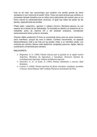 fruta es de color rojo oscuro/negro que contiene una semilla grande de cierta
semejanza a una "tuerca de la suerte" china. Tiene una savia lechosa que contiene un
compuesto llamado thevetina que se utiliza como estimulante del corazón pero en su
forma natural es extremadamente venenoso, al igual que todas las partes de las
plantas, especialmente las semillas.
•Palán palán, «palancho», «gandul» o «tabaco moruno» (Nicotiana glauca), es una
especie de la familia de las Solanáceas. Su toxicidad es debida a la presencia de un
metobolito activo de vitamina D3 y del alcaloide anabasina, considerado
extremadamente tóxico y letal en animales.
•Paraíso (Melia azedarach) El fruto es sumamente tóxico para los seres humanos y
otros mamíferos, aunque las aves lo toleran. Contiene neurotoxinas, en especial
tetranortriterpeno; 0,66 g de fruta por kg pueden matar a un mamífero adulto. Los
síntomas son vómitos, diarrea, dolor abdominal, congestión pulmonar, rigidez, falta de
coordinación y finalmente paro cardíaco.
BIBLIOGRAFIA:
 Ragonese, A. E. (1956). Plantas tóxicas para el ganado en la región central
Argentina. Ministerio de Agricultura y Ganaderia, Direccion General de
Investigaciones Agricolas: Instituto de Botanica Agricola.
 Kissmann, K. G., & Groth, D. (1991). Plantas infestantes e nocivas. Basf
Brasileira.
 Lorenzi, H. (2008). Plantas daninhas do Brasil: terrestres, aquáticas, parasitas
e tóxicas. Nova Odessa^ eSP: Instituto Plantarum de Estudos da Flora.
 