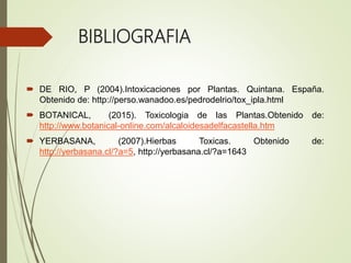 BIBLIOGRAFIA
 DE RIO, P (2004).Intoxicaciones por Plantas. Quintana. España.
Obtenido de: http://perso.wanadoo.es/pedrodelrio/tox_ipla.html
 BOTANICAL, (2015). Toxicologia de las Plantas.Obtenido de:
http://www.botanical-online.com/alcaloidesadelfacastella.htm
 YERBASANA, (2007).Hierbas Toxicas. Obtenido de:
http://yerbasana.cl/?a=5, http://yerbasana.cl/?a=1643
 