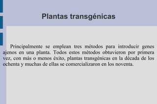 Plantas transgénicas


   Principalmente se emplean tres métodos para introducir genes
ajenos en una planta. Todos estos métodos obtuvieron por primera
vez, con más o menos éxito, plantas transgénicas en la década de los
ochenta y muchas de ellas se comercializaron en los noventa.
 