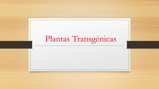 Plantas Transgénicas
 
