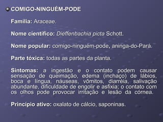 COMIGO-NINGUÉM-PODE
Família: Araceae.
Nome científico: Dieffenbachia picta Schott.
Nome popular: comigo-ninguém-pode, aninga-do-Pará.
Parte tóxica: todas as partes da planta.
Sintomas: a ingestão e o contato podem causar
sensação de queimação, edema (inchaço) de lábios,
boca e língua, náuseas, vômitos, diarréia, salivação
abundante, dificuldade de engolir e asfixia; o contato com
os olhos pode provocar irritação e lesão da córnea.
Princípio ativo: oxalato de cálcio, saponinas.

 