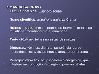 MANDIOCA-BRAVA
Família botânica: Euphorbiaceae
Nome ciêntífico: Manihot esculenta Crantz
Nomes populares: mandioca-brava,
mulatinha, mandioca-preta, manipeba.

mandioca-

Partes tóxicas: folhas e cascas das raízes
Sintomas: vômitos, diarréia, sonolência, dores
abdominais, convulsões musculares, torpor e coma
Princípio ativo tóxico: glicosídeo cianogênico, que
interfere na condução de oxigênio para as células.
.

 