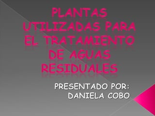 PLANTAS UTILIZADAS PARA EL TRATAMIENTO DE AGUAS RESIDUALES PRESENTADO POR: DANIELA COBO 