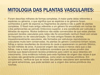Mitologia DAS PLANTAS VASCULARES:Foram descritas milhares de formas completas. A maior parte delas referentes a espécies ou géneros, o que significa que as espécies e os géneros foram conhecidos a partir de esporos ou fragmentos da planta e não a partir de plantas completas. O fóssil mais antigo referente a um género foi encontrado em rochas da Líbia pertencentes ao período Ordovícico superior, e era constituído por cutículas e tétradas de esporos. Muitos botânicos não estão convencidos de que estas plantas possuíam tecidos vasculares pois neles não foi encontrado nenhum fóssil com sinais de traqueídos ou de vascularização. Os mais antigos fósseis de plantas, inquestionavelmente vasculares, são formados por estruturas reprodutoras ou vasculares muito bem conservadas. As plantas do géneroCooksónia tinham raízes, folhas e ramos resultantes da dicotomia do caule e apareceram no período Silúrico, há 420 milhões de anos. A possível origem das raízes é menos clara que a das folhas, mas a maior parte dos botânicos considera que as raízes provêm dos rizomas que desenvolveram tecidos protetores para cobrir os seus rebentos em crescimento. Uma evidência indireta para esta hipótese da origem das raízes é que as raízes são geralmente protostélicas, como eram os rizomas primitivos. Em complemento, verifica-se que as raízes das plantas vasculares sem sementes são em geral adventícias, que pode também ser a origem dos ramos primitivos dos rizomas.