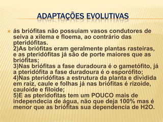 Adaptações evolutivasás briófitas não possuiam vasos condutores de seiva a xilema e floema, ao contrário das pteridófitas.2)As briófitas eram geralmente plantas rasteiras, e as pteridófitas já são de porte maiores que as briófitas;3)Nas briófitas a fase duradoura é o gametófito, já a pteridófita a fase duradoura é o esporófito;4)Nas pteridófitas a estrutura da planta e dividida em raíz, caule e folhas já nas briófitas é rizoide, cauloide e filoide;5)E as pteridofitas tem um POUCO mais de independecia de água, não que deja 100% mas é menor que as briófitas sua dependencia de H2O.