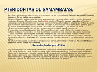 Pteridófitas ou samambaias:        As folhas muitas vezes são divididas em pequenas partes, chamadas de folíolos. As pteridófitas não possuem flores, frutos ou sementes.       As pteridófitas são as primeiras plantas a apresentar tecidos especializados na condução de água e nutrientes. Ou seja, diferentemente das briófitas, as pteridófitas são plantas vasculares. Existem vasos especializados em conduzir a água e os sais minerais, chamados de xilema (ou lenho), e outros que conduzem a seiva elaborada, o floema (ou líber). A presença de vasos condutores permite que a água e os nutrientes sejam transportados de maneira eficiente por longas distâncias. Esta característica permite que elas atinjam tamanhos muito maiores do que os musgos. O corpo das pteridófitas já apresenta a diferenciação em raiz, caule e folhas. As raízes formam o sistema radicular, responsável por fixar a planta ao substrato e pela absorção de água e nutrientes. O caule sustenta o corpo vegetal e realiza o transporte de substâncias entre raízes e folhas e vice-versa. Em muitas espécies, o caule cresce abaixo da superfície do solo, ou seja, é um tipo de caule subterrâneo chamado de rizoma. Em outras espécies, o caule é aéreo e pode atingir vários metros de altura. As folhas muitas vezes são divididas em pequenas partes, chamadas de folíolos. As pteridófitas não possuem flores, frutos ou sementes.Reprodução das pteridófitas: Algumas espécies de pteridófitas apresentam reprodução assexuada através do brotamento. O novo broto surge a partir do caule da planta mãe e, após se desprender desta, origina um novo indivíduo.Assim como nos demais vegetais, na reprodução sexuada das pteridófitas ocorre a alternância entre dois tipos de gerações, uma haplóide (n) e outra diplóide (2n). Por isso o ciclo é chamado de haplodiplobionte. A geração haplóide é o gametófito, estrutura que produz gametas através da mitose. A geração diplóide é o esporófito, que produz esporos através da meiose. 