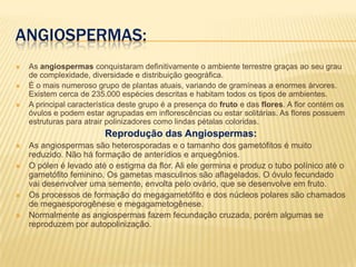 Angiospermas:As angiospermas conquistaram definitivamente o ambiente terrestre graças ao seu grau de complexidade, diversidade e distribuição geográfica. É o mais numeroso grupo de plantas atuais, variando de gramíneas a enormes árvores. Existem cerca de 235.000 espécies descritas e habitam todos os tipos de ambientes.A principal característica deste grupo é a presença do fruto e das flores. A flor contém os óvulos e podem estar agrupadas em inflorescências ou estar solitárias. As flores possuem estruturas para atrair polinizadores como lindas pétalas coloridas.Reprodução das Angiospermas:As angiospermas são heterosporadas e o tamanho dos gametófitos é muito reduzido. Não há formação de anterídios e arquegônios.O pólen é levado até o estigma da flor. Ali ele germina e produz o tubo polínico até o gametófito feminino. Os gametas masculinos são aflagelados. O óvulo fecundado vai desenvolver uma semente, envolta pelo ovário, que se desenvolve em fruto.Os processos de formação do megagametófito e dos núcleos polares são chamados de megaesporogênese e megagametogênese.Normalmente as angiospermas fazem fecundação cruzada, porém algumas se reproduzem por autopolinização.