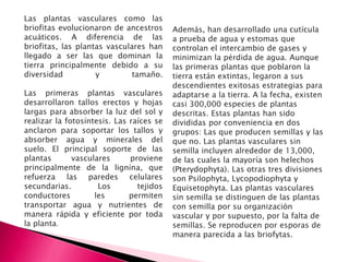 Las plantas vasculares como las
briofitas evolucionaron de ancestros      Además, han desarrollado una cutícula
acuáticos. A diferencia de las            a prueba de agua y estomas que
briofitas, las plantas vasculares han     controlan el intercambio de gases y
llegado a ser las que dominan la          minimizan la pérdida de agua. Aunque
tierra principalmente debido a su         las primeras plantas que poblaron la
diversidad          y         tamaño.     tierra están extintas, legaron a sus
                                          descendientes exitosas estrategias para
Las primeras plantas vasculares           adaptarse a la tierra. A la fecha, existen
desarrollaron tallos erectos y hojas      casi 300,000 especies de plantas
largas para absorber la luz del sol y     descritas. Estas plantas han sido
realizar la fotosíntesis. Las raíces se   divididas por conveniencia en dos
anclaron para soportar los tallos y       grupos: Las que producen semillas y las
absorber agua y minerales del             que no. Las plantas vasculares sin
suelo. El principal soporte de las        semilla incluyen alrededor de 13,000,
plantas       vasculares      proviene    de las cuales la mayoría son helechos
principalmente de la lignína, que         (Pterydophyta). Las otras tres divisiones
refuerza las paredes celulares            son Psilophyta, Lycopodiophyta y
secundarias.         Los        tejidos   Equisetophyta. Las plantas vasculares
conductores         les       permiten    sin semilla se distinguen de las plantas
transportar agua y nutrientes de          con semilla por su organización
manera rápida y eficiente por toda        vascular y por supuesto, por la falta de
la planta.                                semillas. Se reproducen por esporas de
                                          manera parecida a las briofytas.
 