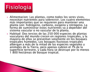    Alimentacion: Las plantas, como todos los seres vivos,
    necesitan nutrientes para sobrevivir. Los cuatro elementos
    más importantes que se requieren para mantener una
    planta son: hidrógeno, carbono, oxígeno y nitrógeno. La
    forma de suministrar estos nutrientes va a depender del
    sistema vascular o no vascular de la planta.
   Habitad: Dos tercios de las 250 000 especies de plantas
    vasculares del mundo crecen en regiones tropicales, y la
    mayoría de ellas se presentan solamente en los bosques
    tropicales húmedos. Los bosques lluviosos tropicales
    albergan a más de la mitad de las especies vegetales y
    animales de la Tierra, pero apenas cubren el 7% de la
    superficie terrestre, y cada hora se destruye por lo menos
    1 800 hectáreas de bosque tropical.
 