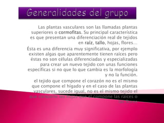 Las plantas vasculares son las llamadas plantas
  superiores o cormofitas. Su principal característica
  es que presentan una diferenciación real de tejidos
                         en raíz, tallo, hojas, flores…
Ésta es una diferencia muy significativa, por ejemplo
 existen algas que aparentemente tienen raíces pero
  éstas no son células diferenciadas y especializadas
        para crear un nuevo tejido con unas funciones
específicas si no que lo que cambia es la morfología
                                       y no la función.
    el tejido que compone el corazón no es el mismo
   que compone el hígado y en el caso de las plantas
    vasculares, sucede igual, no es el mismo tejido el
 que compone las hojas que el compone las raíces o
                                              las flores
 