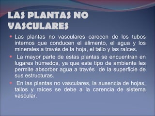 LAS PLANTAS NO VASCULARES Las plantas no vasculares carecen de los tubos internos que conducen el alimento, el agua y los minerales a través de la hoja, el tallo y las raíces. La mayor parte de estas plantas se encuentran en lugares húmedos, ya que este tipo de ambiente les permite absorber agua a través  de la superficie de sus estructuras. En las plantas no vasculares, la ausencia de hojas, tallos y raíces se debe a la carencia de sistema vascular. 