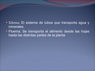 Xilema:  El sistema de tubos que transporta agua y minerales. Floema: Se transporta el alimento desde las hojas hasta las distintas partes de la planta 