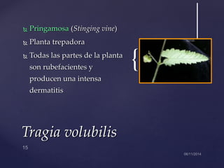 plantas-venenosas-soc-espeleologica-pptx