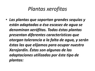 Plantas xerofitas
• Las plantas que soportan grandes sequías y
están adaptadas a ésa escasez de agua se
denominan xerófitas. Todas éstas plantas
presentan diferentes características que
otorgan tolerancia a la falta de agua, y serán
éstas las que elijamos para ocupar nuestro
Xerojardín. Éstas son algunas de las
adaptaciones utilizadas por éste tipo de
plantas:
 