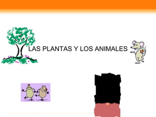 LAS PLANTAS Y LOS ANIMALES 