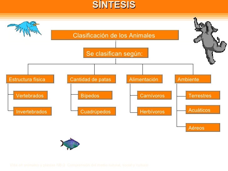 CLASIFICACIÓN DE LAS PLANTAS Y ANIMALES CLASIFICACIÓN DE LAS PLANTAS Y ANIMALES