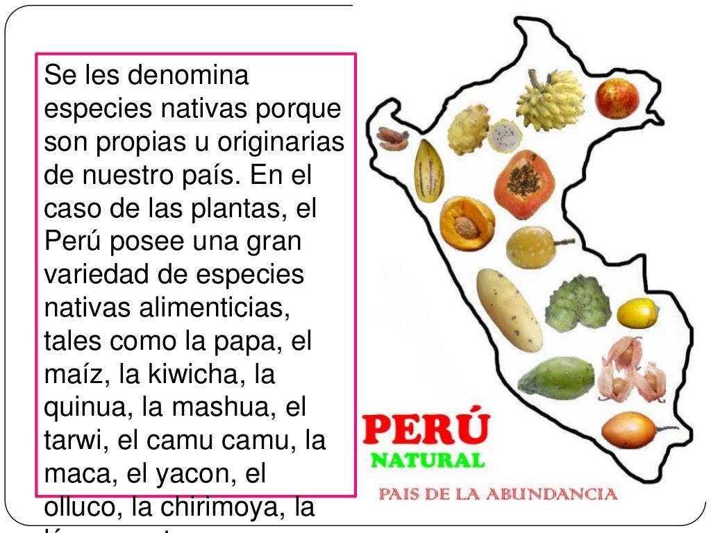 10+ Imágenes De Animales Nativos Del Perú Para Colorear Gif