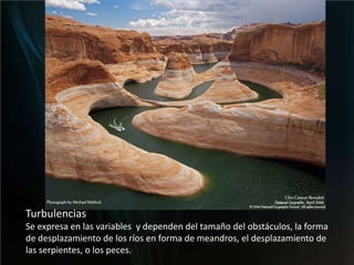Turbulencias Se expresa en las variables  y dependen del tamaño del obstáculos, la forma de desplazamiento de los ríos en forma de meandros, el desplazamiento de las serpientes, o los peces.