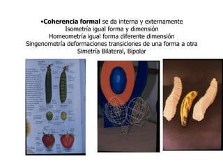 Coherencia formal se da interna y externamenteIsometría igual forma y dimensiónHomeometría igual forma diferente dimensiónSingenometría deformaciones transiciones de una forma a otraSimetría Bilateral, BipolarTraslación RotaciónDilataciónReflexión 