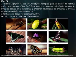 Años 70   … “biónica significa “El uso de prototipos biológicos para el diseño de sistemas sintéticos hechos por el hombre”. Para ponerlo en lenguaje más simple: estudiar los principios básicos en la naturaleza y proponer aplicaciones de principios y procesos para las necesidades de la humanidad.”… Victor Papanek, Design for a real World, 1971 Part two, chapter 9, “The tree of Knowledge”http://images.google.com.co/imgres?imgurl=http://www.fotografia-digital.info/insectos/insectos-39.jpg&imgrefurl=http://www.fotografia-digital.info/foto-de-insectos. 