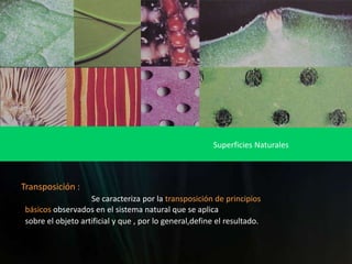 Superficies NaturalesTransposición :Se caracteriza por la transposición de principios  básicos observados en el sistema natural que se aplica  sobre el objeto artificial y que , por lo general,define el resultado.