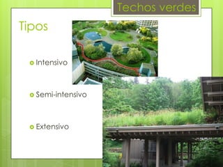 Techos verdes

Tipos
 Intensivo

 Semi-intensivo

 Extensivo

 