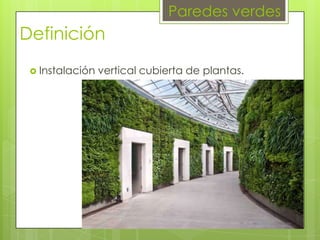 Paredes verdes

Definición
 Instalación

vertical cubierta de plantas.

 