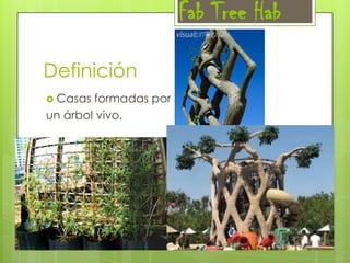 Fab Tree Hab
Definición
 Casas

formadas por
un árbol vivo.

 