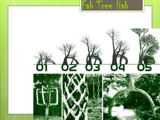 Fab Tree Hab

 