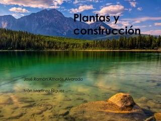 Plantas y
construcción

José Ramón Amorós Alvarado
Iván Martínez Ñíguez

 