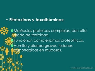• Fitotoxinas y toxalbúminas: 
Moléculas proteicas complejas, con alto 
grado de toxicidad. 
Funcionan como enzimas proteolíticas. 
Vomito y diarrea graves, lesiones 
hemorragicas en mucosas. 
 