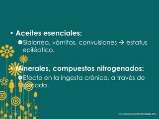 • Aceites esenciales: 
Sialorrea, vómitos, convulsiones  estatus 
epiléptico. 
• Minerales, compuestos nitrogenados: 
Efecto en la ingesta crónica, a través de 
ganado. 
 