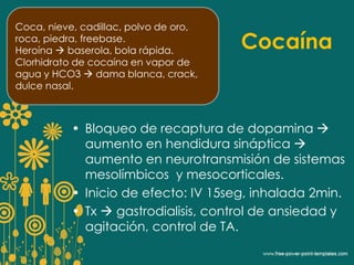 Cocaína 
Coca, nieve, cadillac, polvo de oro, 
roca, piedra, freebase. 
Heroína  baserola, bola rápida. 
Clorhidrato de cocaína en vapor de 
agua y HCO3  dama blanca, crack, 
dulce nasal. 
• Bloqueo de recaptura de dopamina  
aumento en hendidura sináptica  
aumento en neurotransmisión de sistemas 
mesolímbicos y mesocorticales. 
• Inicio de efecto: IV 15seg, inhalada 2min. 
• Tx  gastrodialisis, control de ansiedad y 
agitación, control de TA. 
 