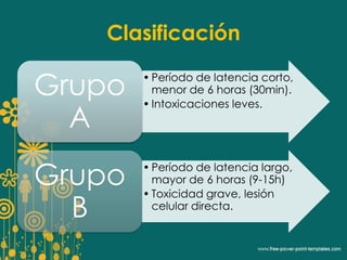 Clasificación 
• Período de latencia corto, 
menor de 6 horas (30min). 
• Intoxicaciones leves. 
Grupo 
A 
• Período de latencia largo, 
mayor de 6 horas (9-15h) 
• Toxicidad grave, lesión 
celular directa. 
Grupo 
B 
 