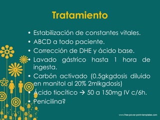 Tratamiento 
• Estabilización de constantes vitales. 
• ABCD a todo paciente. 
• Corrección de DHE y ácido base. 
• Lavado gástrico hasta 1 hora de 
ingesta. 
• Carbón activado (0.5gkgdosis diluido 
en manitol al 20% 2mlkgdosis) 
• Ácido tiocítico  50 a 150mg IV c/6h. 
• Penicilina? 
 