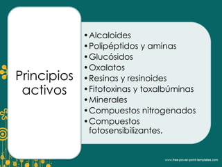 •Alcaloides 
•Polipéptidos y aminas 
•Glucósidos 
•Oxalatos 
•Resinas y resinoides 
•Fitotoxinas y toxalbúminas 
•Minerales 
•Compuestos nitrogenados 
•Compuestos 
fotosensibilizantes. 
Principios 
activos 
 