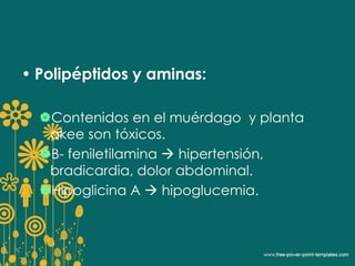 • Polipéptidos y aminas: 
Contenidos en el muérdago y planta 
akee son tóxicos. 
B- feniletilamina  hipertensión, 
bradicardia, dolor abdominal. 
Hipoglicina A  hipoglucemia. 
 