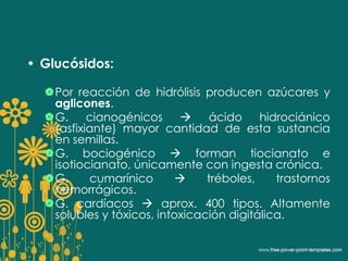 • Glucósidos: 
Por reacción de hidrólisis producen azúcares y 
aglicones. 
G. cianogénicos  ácido hidrociánico 
(asfixiante) mayor cantidad de esta sustancia 
en semillas. 
G. bociogénico  forman tiocianato e 
isotiocianato, únicamente con ingesta crónica. 
G. cumarínico  tréboles, trastornos 
hemorrágicos. 
G. cardíacos  aprox. 400 tipos. Altamente 
solubles y tóxicos, intoxicación digitálica. 
 