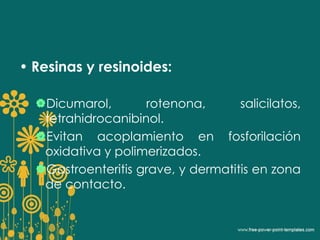 • Resinas y resinoides: 
Dicumarol, rotenona, salicilatos, 
tetrahidrocanibinol. 
Evitan acoplamiento en fosforilación 
oxidativa y polimerizados. 
Gastroenteritis grave, y dermatitis en zona 
de contacto. 
 