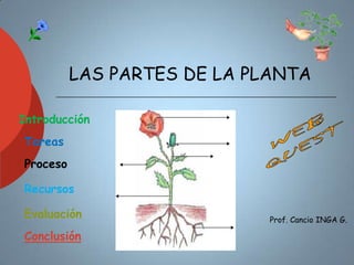 LAS PARTES DE LA PLANTA

Introducción
Tareas
Proceso

Recursos

Evaluación                   Prof. Cancio INGA G.

Conclusión
 