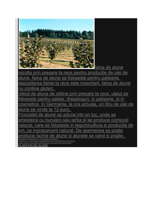 faina de alune
rezulta prin presare la rece pentru productie de ulei de
alune. faina de alune se foloseste pentru patiserie.
depozitarea fainei la rece este important. faina de alune
nu contine gluten.
Uleiul de alune de obtine prin presare la rece. uleiul se
foloseste pentru salate, dressinguri, in patiserie, si in
cosmetice. In Germania, la ora actuala, un litru de ulei de
alune se vinde la 12 euro.
Frunzelel de alune se aduna intr-un loc, unde se
amesteca cu buruieni sau iarba si se produce compost
natural, care se foloseste in legumicultura si productie de
lori, ca ingrasamant natural. De asemenea se poate
produce rachie de alune si alunele se vand si prajite.
Eingestellt von alexandru um 15:20 Niciun comentariu:
Trimiteţi prin e-mailPostaţi pe blog!Distribuiţi pe TwitterDistribuiţi pe Facebook
Labels: alune, alune prajite, faina de alune, rachie de alune, ulei de alune
PLANTATII DE ALUNE
 