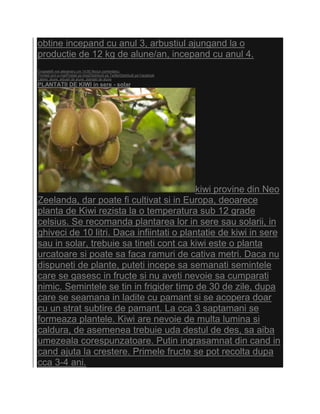 obtine incepand cu anul 3, arbustiul ajungand la o
productie de 12 kg de alune/an, incepand cu anul 4.
Eingestellt von alexandru um 14:50 Niciun comentariu:
Trimiteţi prin e-mailPostaţi pe blog!Distribuiţi pe TwitterDistribuiţi pe Facebook
Labels: alune, arbusti de alune, plantatii de alune
PLANTATII DE KIWI in sere - solar




                                           kiwi provine din Neo
Zeelanda, dar poate fi cultivat si in Europa, deoarece
planta de Kiwi rezista la o temperatura sub 12 grade
celsius. Se recomanda plantarea lor in sere sau solarii, in
ghiveci de 10 litri. Daca infiintati o plantatie de kiwi in sere
sau in solar, trebuie sa tineti cont ca kiwi este o planta
urcatoare si poate sa faca ramuri de cativa metri. Daca nu
dispuneti de plante, puteti incepe sa semanati semintele
care se gasesc in fructe si nu aveti nevoie sa cumparati
nimic. Semintele se tin in frigider timp de 30 de zile, dupa
care se seamana in ladite cu pamant si se acopera doar
cu un strat subtire de pamant. La cca 3 saptamani se
formeaza plantele. Kiwi are nevoie de multa lumina si
caldura, de asemenea trebuie uda destul de des, sa aiba
umezeala corespunzatoare. Putin ingrasamnat din cand in
cand ajuta la crestere. Primele fructe se pot recolta dupa
cca 3-4 ani.
 