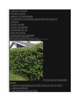 - colorant natural
- nectar si sirop
- gemuri si marmelade
- in industria alimentara (productie de dulciuri)
- compot
- fructe uscate
- fructe congelate
- productia de vin
- otet de aronia
- productia de inghetata
Eingestellt von alexandru um 15:01 Niciun comentariu:
Trimiteţi prin e-mailPostaţi pe blog!Distribuiţi pe TwitterDistribuiţi pe Facebook
Labels: fructe aronia, fructe uscate aronia, gem aronia, inghetata cu aronia, otet din aronia, sirop aronia
VALOAREA MEDICINALA A PLANTEI ARONIA




                                                                                            Aronia are urmatoarele
efecte:
1. previne hipertensiunea (60 ml de suc de 3 ori/zi)
2. reduce diabetul
3. are continut de acid folic
 